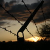 Sunsets and Rises : Random sunrises and sets from all over the place.