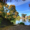 4TheRiders > Palace of Fine Arts in San Francisco