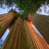 4TheRiders > Palace of Fine Arts in San Francisco